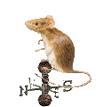 A Mouse in Henry Livingston's House