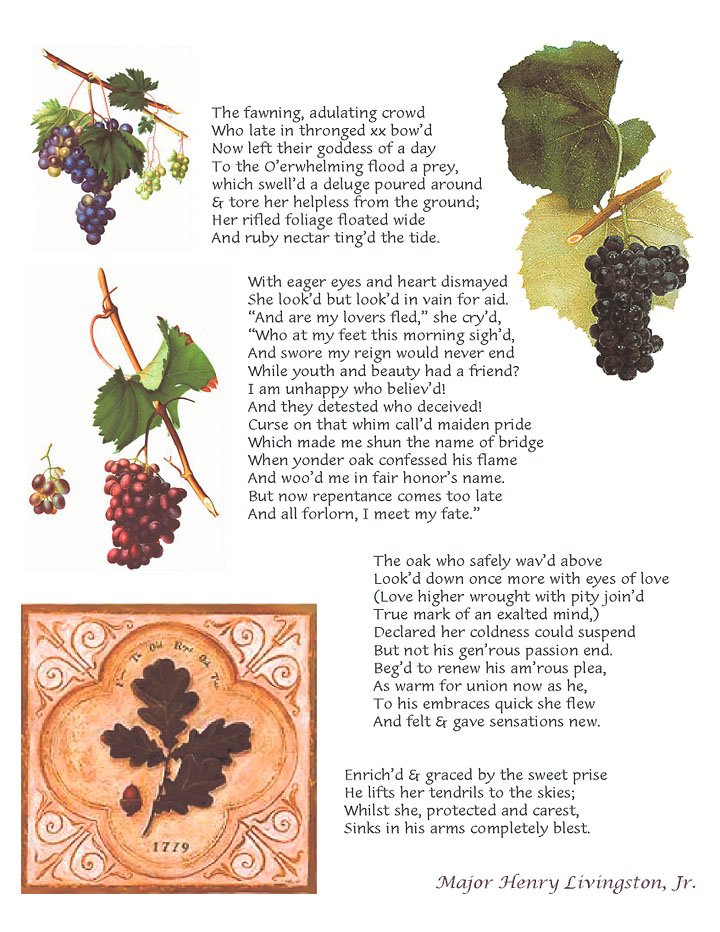 The Vine & Oak, a Fable